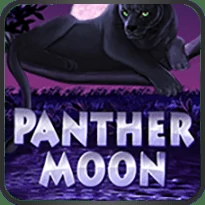 Panter Moon