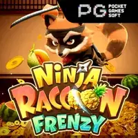 Ninja Raccoon Frenzy